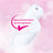 Acee17fc77a32734fa5f360a1358a746 xl